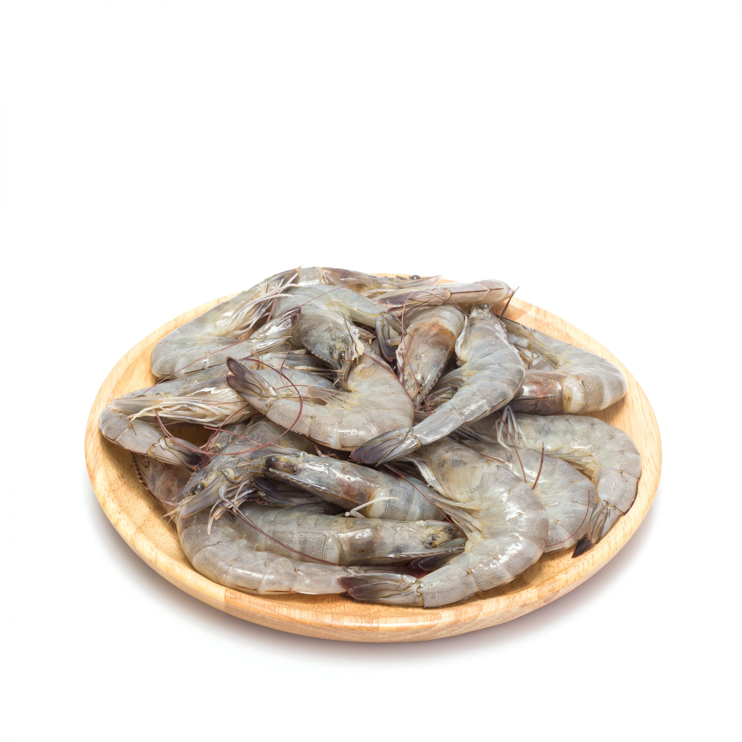 Fresh shrimp. Studio shot isolated on white